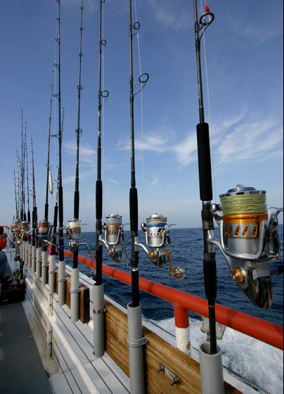 No Box, Used, Refurbished Collection