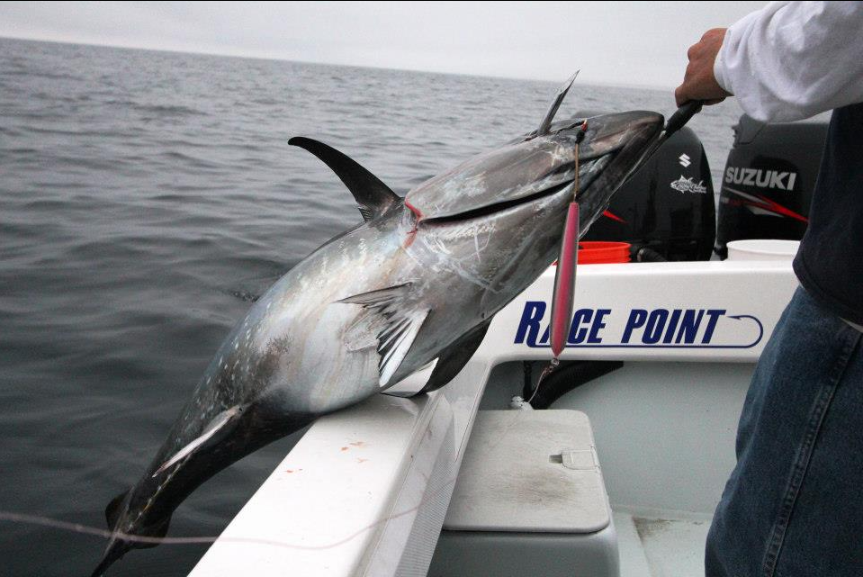 Hot's Keiko Ocean Floating Pencil Bait