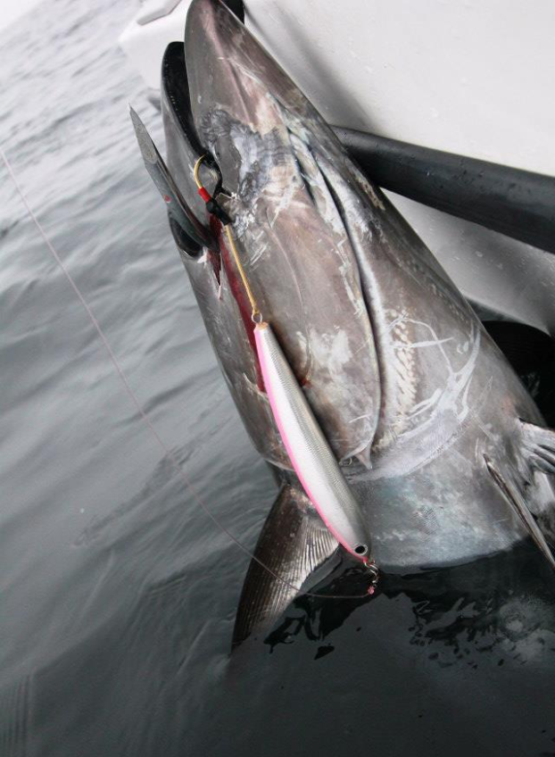 Hot's Keiko Ocean Floating Pencil Bait