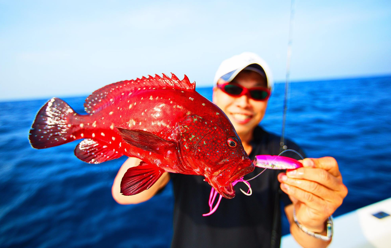 Hot's Big Fin Spare Tako Octopus Skirts