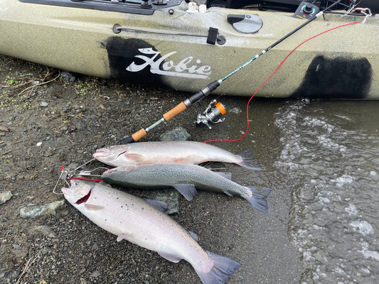 Double Trouble - Kokonee and King Salmon at Lake Berryessa