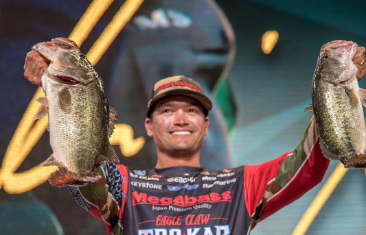 MegaBass - The Pro's Unkept Secret