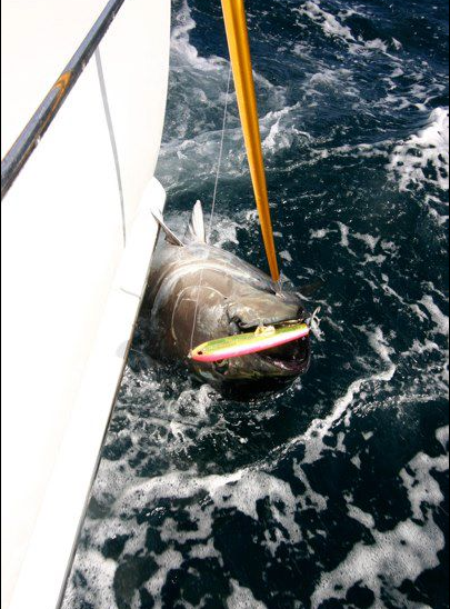 Hot's Keiko Ocean Stick Bait