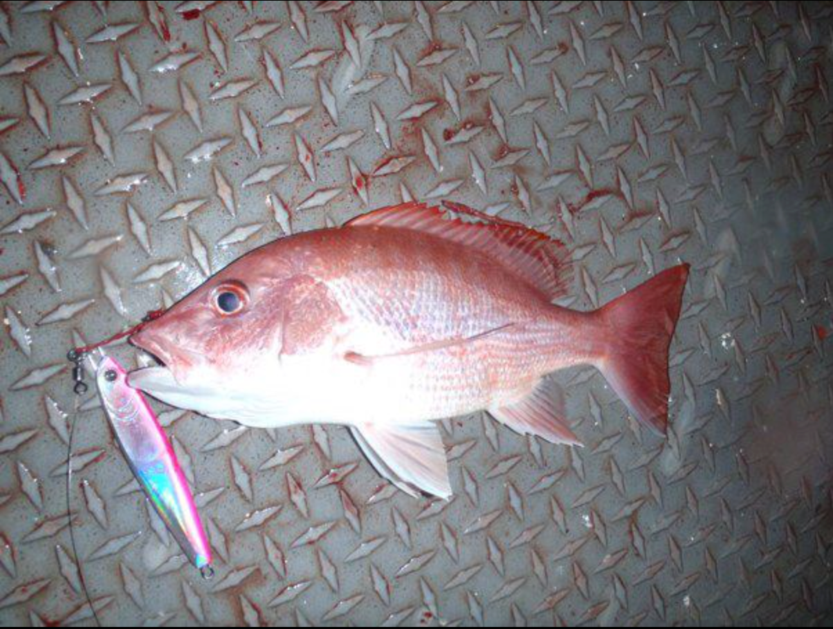 Slow Pitch Metal Vertical Jig